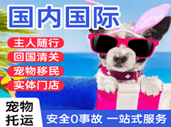 承德普宁机场物流国际宠物托运 【国